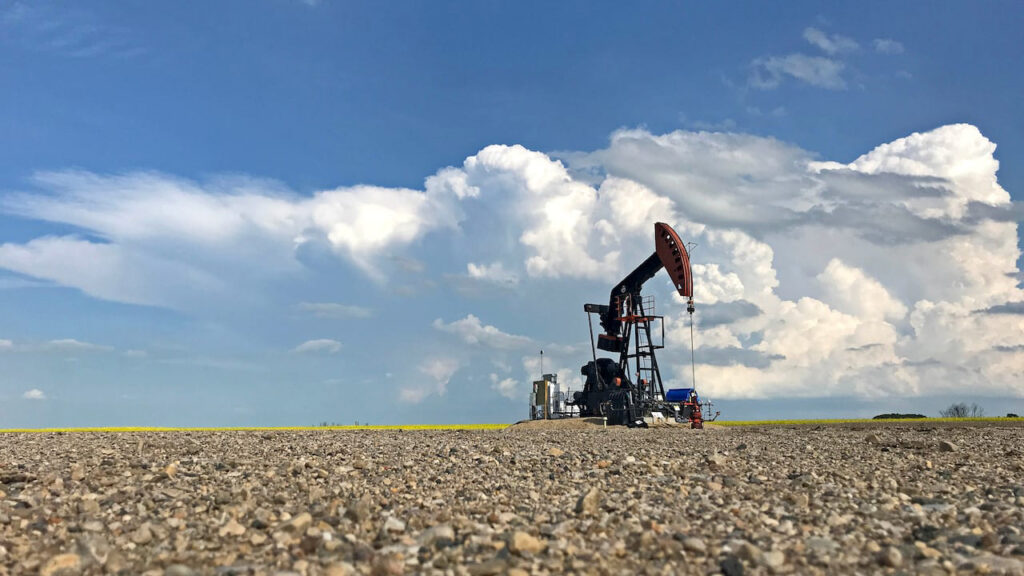 Santa Cruz licita área inactiva para aplicar técnica canadiense inédita